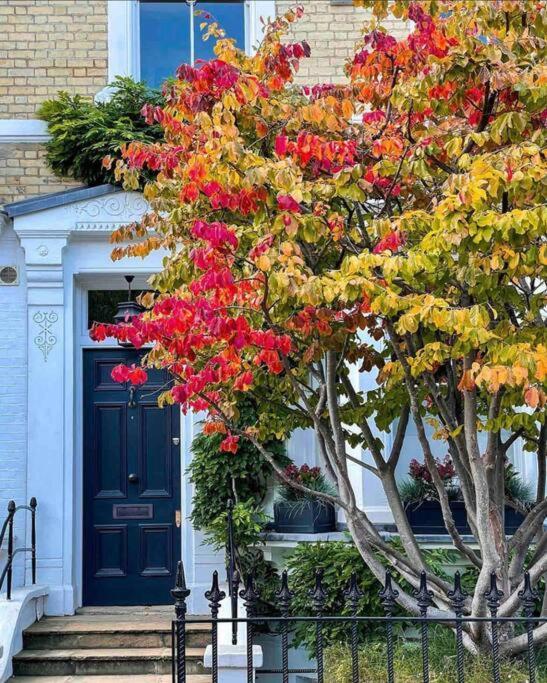 Chelsea Posh Apartment 런던 외부 사진